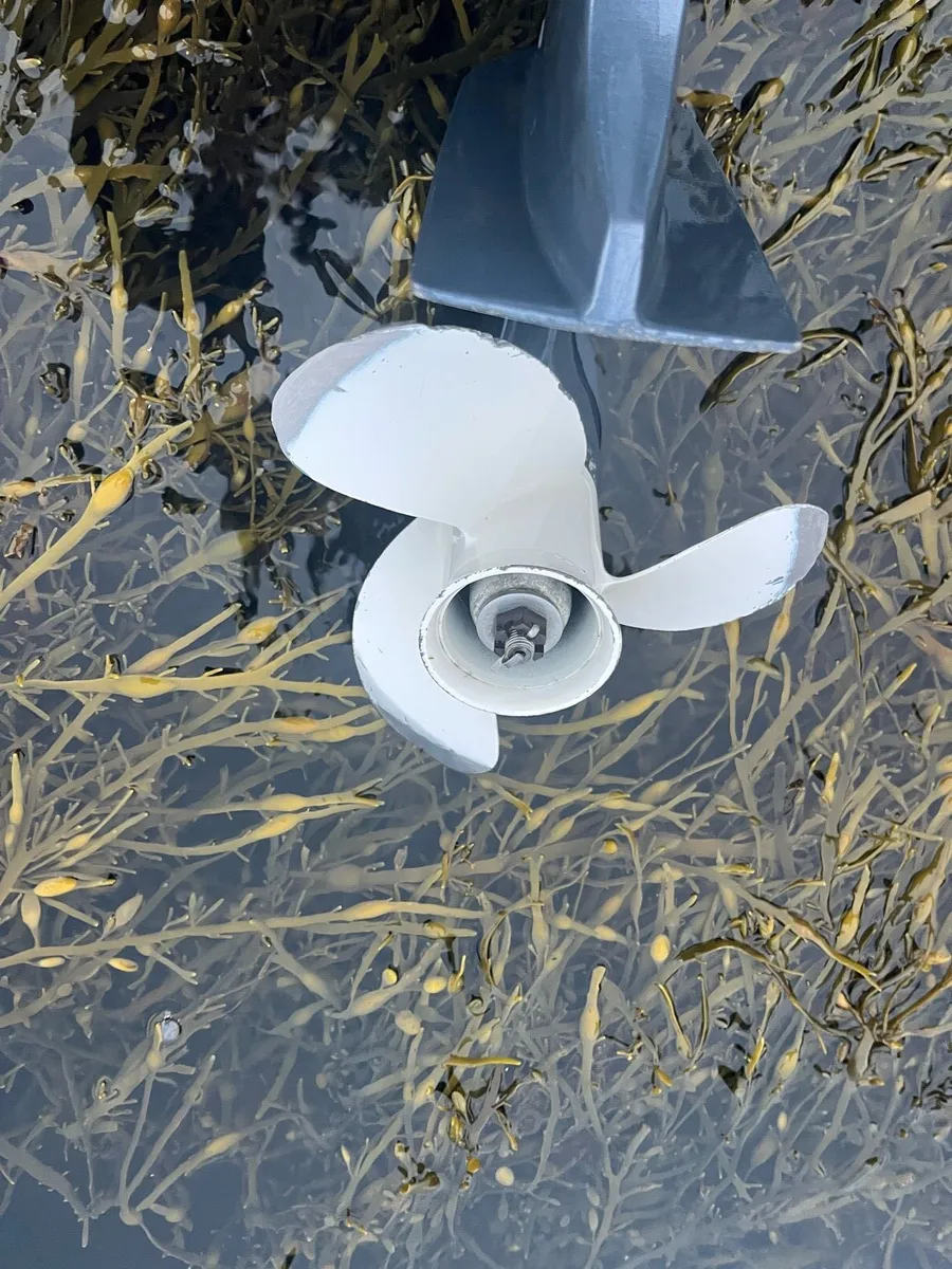 2016 Yamaha 8hp 4stk short shaft - Image 3