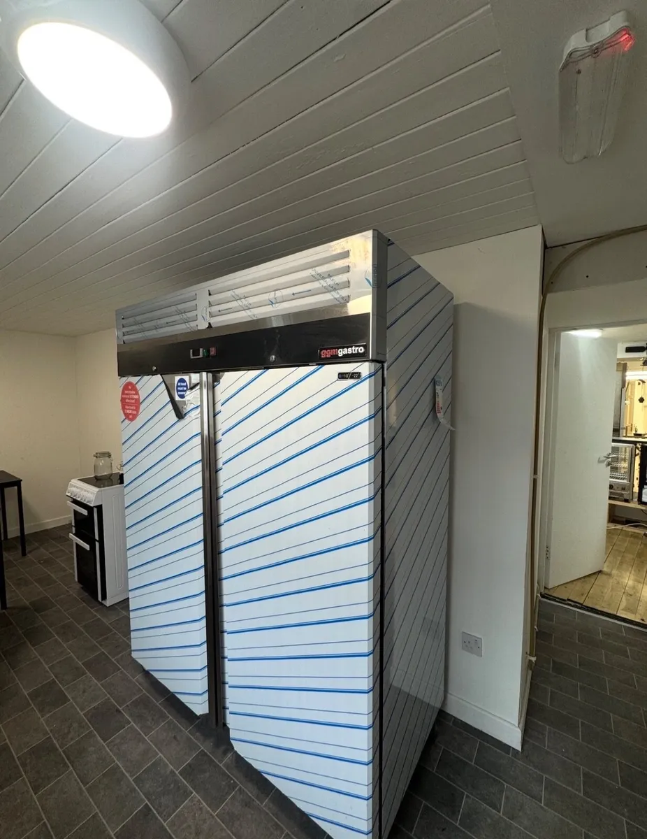 Freezer - Image 4