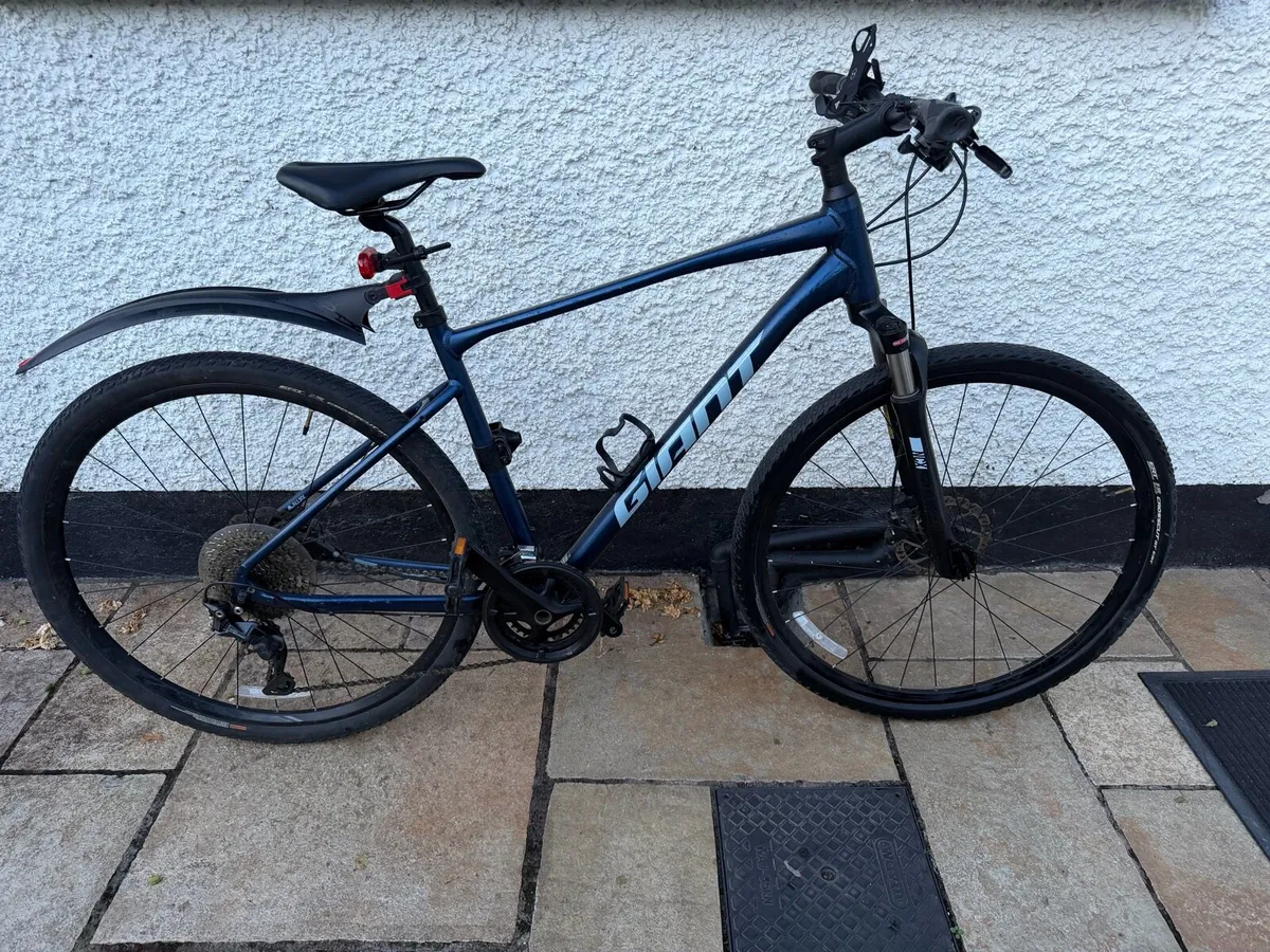 2021 Giant Roam 1 Disc - Large - Image 1