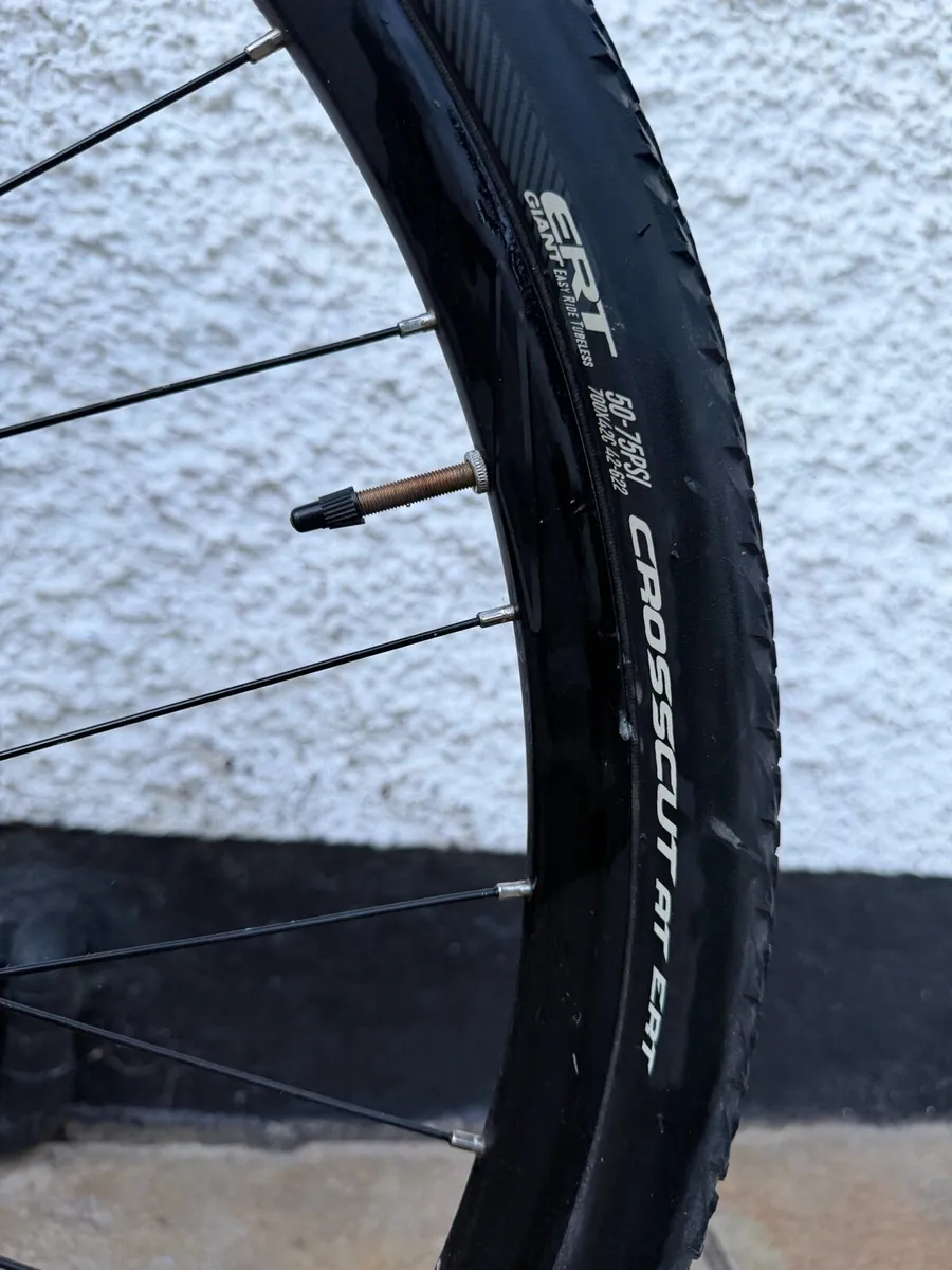 2021 Giant Roam 1 Disc - Large - Image 2