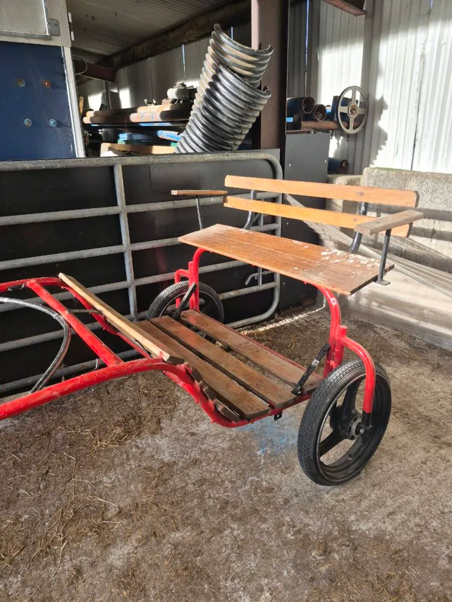 Road cart - Image 2