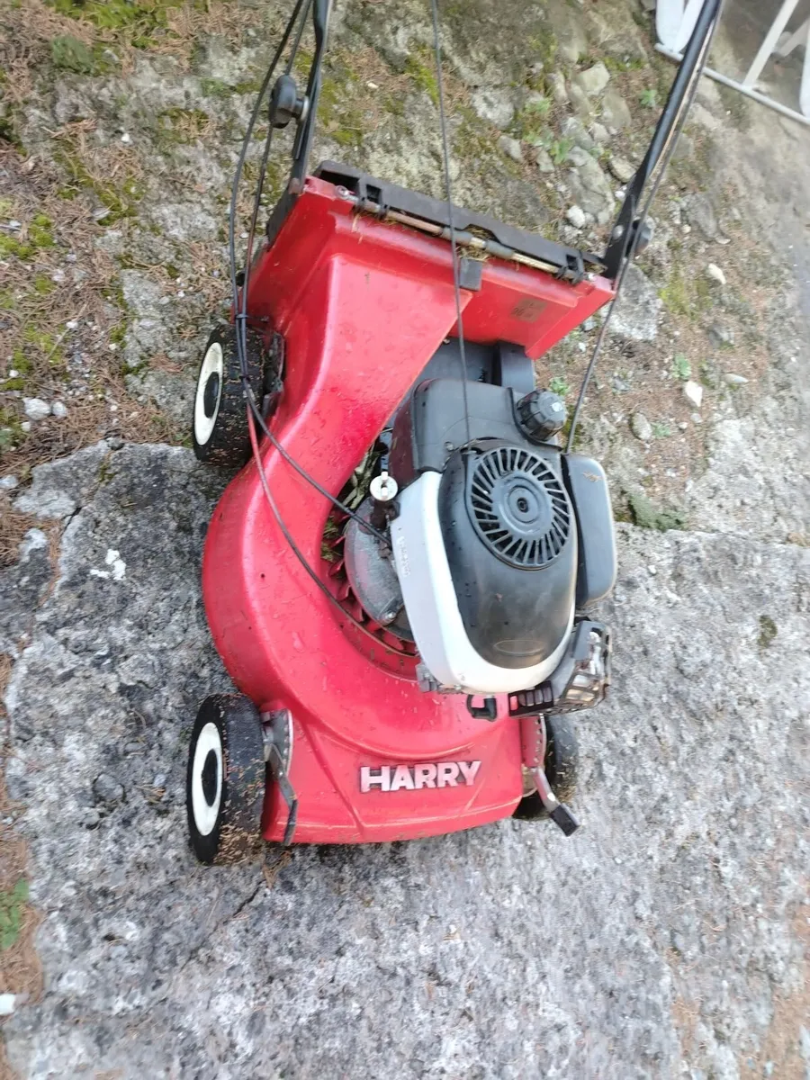 Lawnmower - Image 1