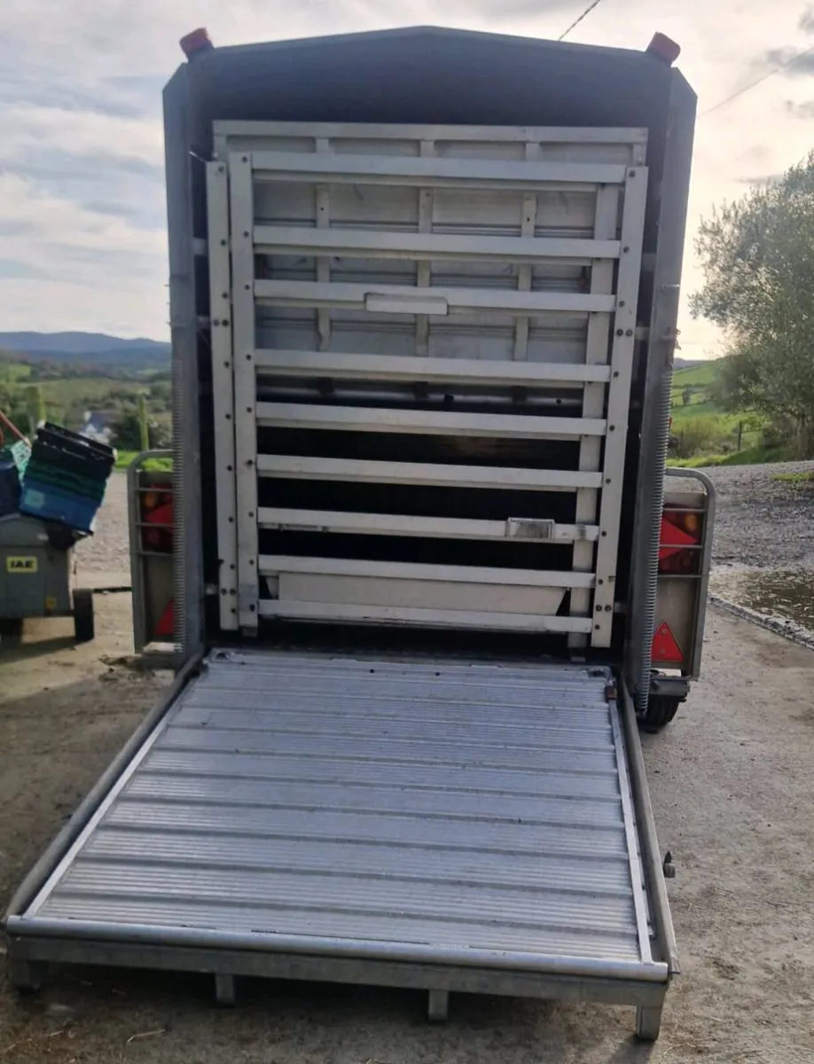 10X5 Hudson Livestock Trailer - Image 4