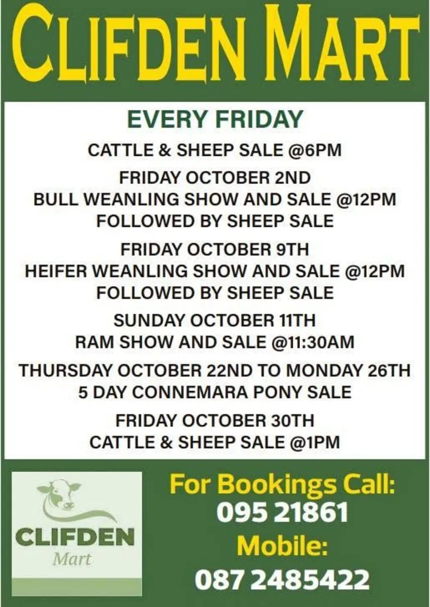 October 2nd Bull Weanling Show & Sale – 12pm - Image 1