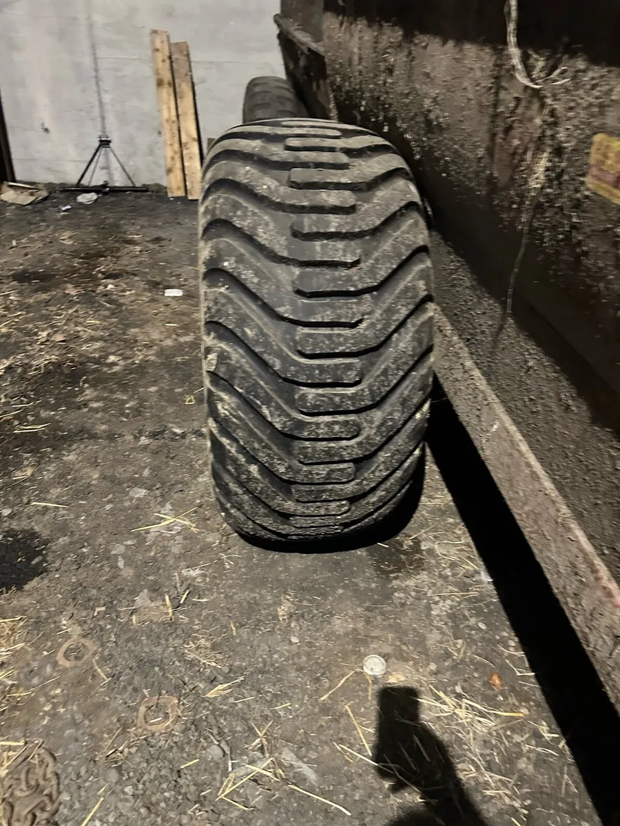 Muck spreader - Image 2