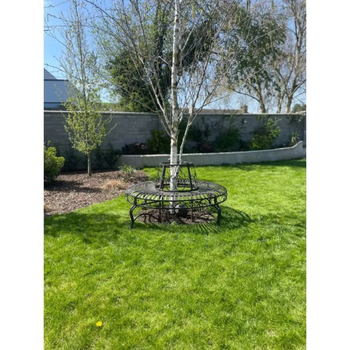 Tree Bench – Grey – D5672 - Image 4