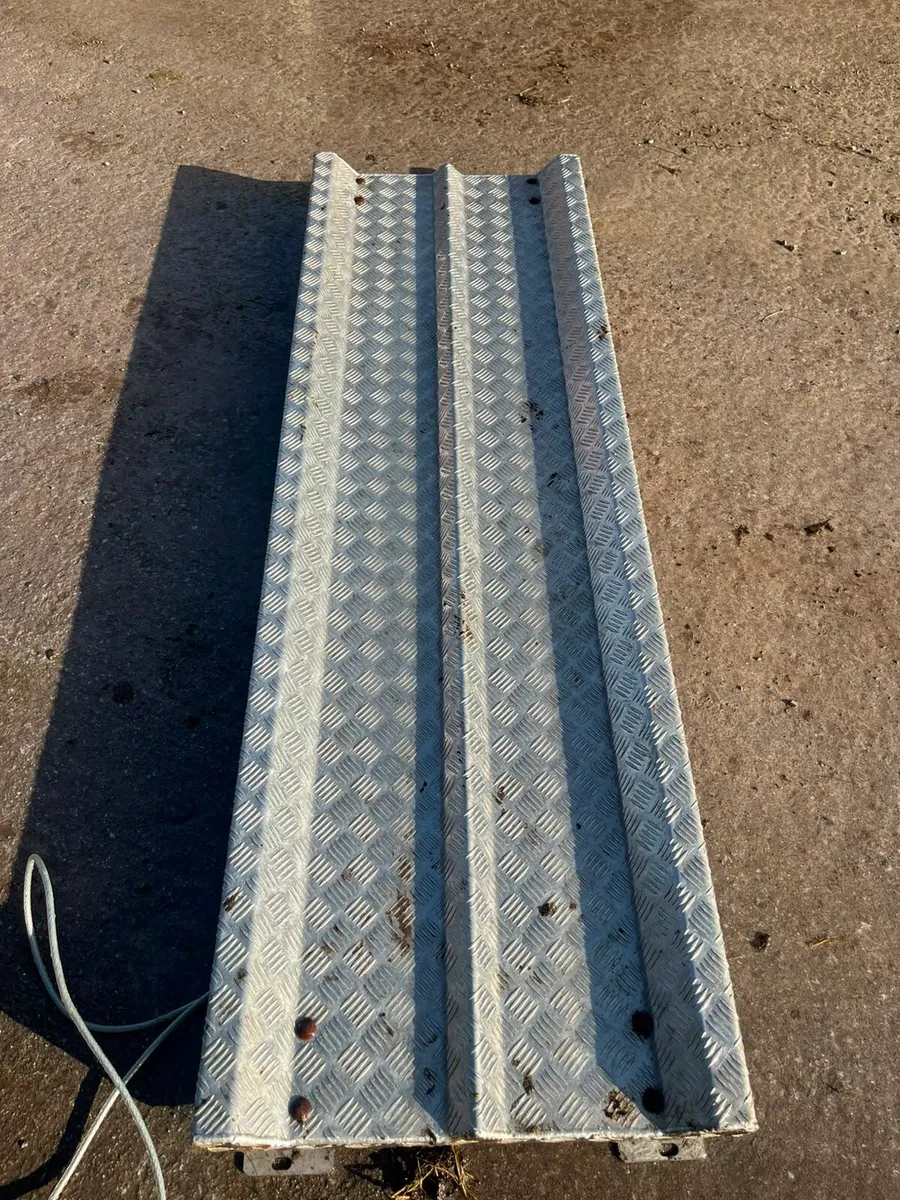 Cattle weighing scales - Image 2
