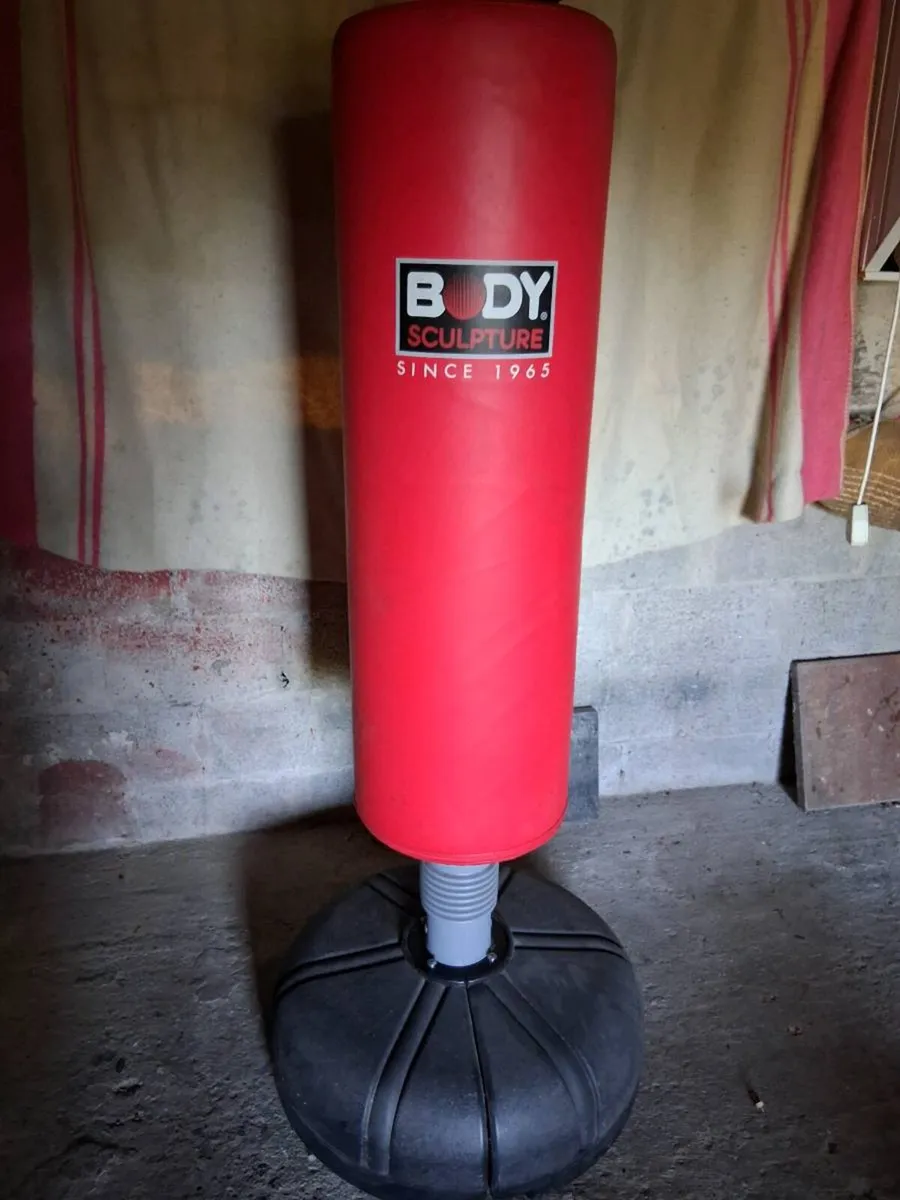 Punch bag