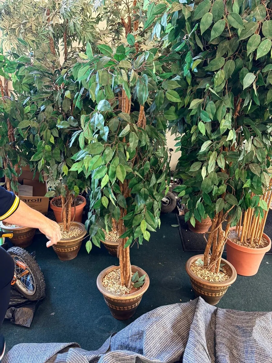 Artificial decorative trees - Image 1
