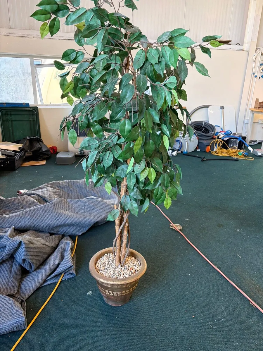 Artificial decorative trees - Image 2