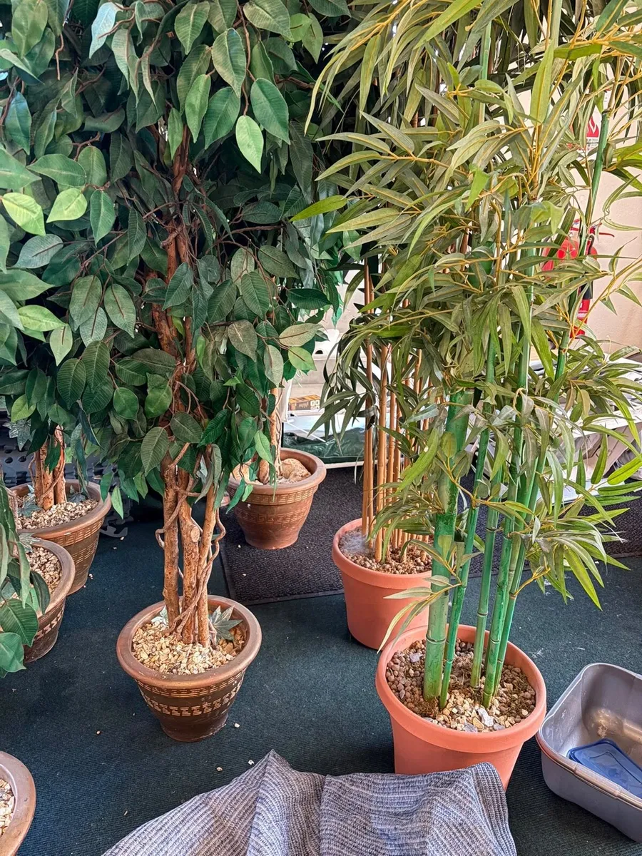 Artificial decorative trees - Image 3