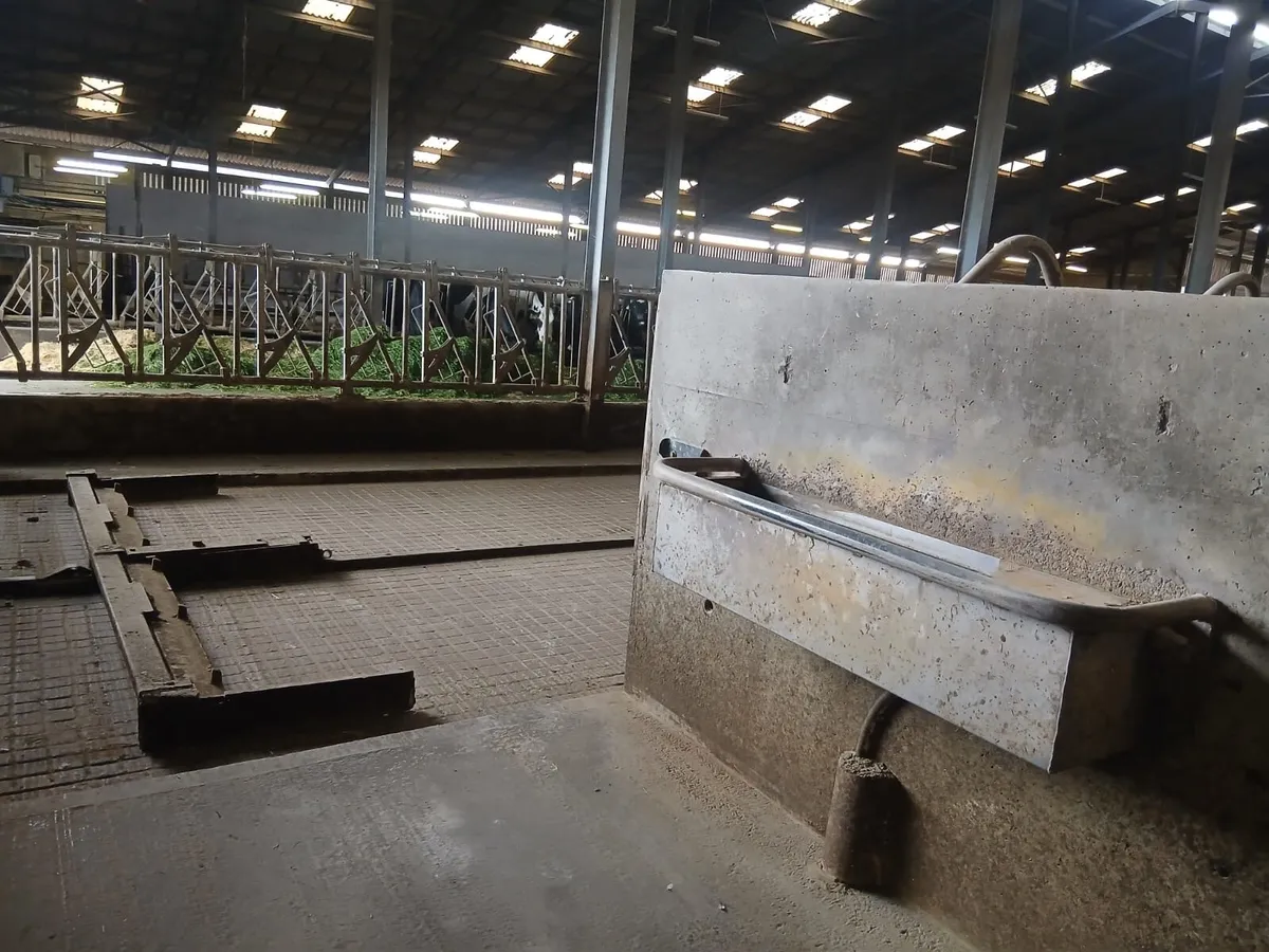 Dairy Master Automatic scrapers - Image 3