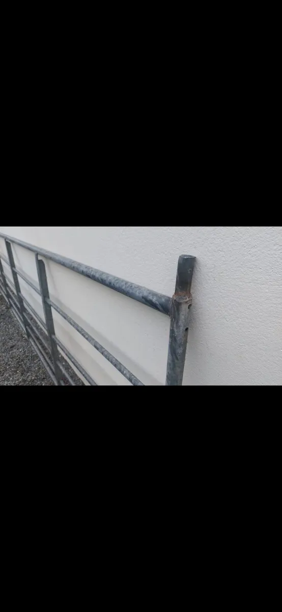 15 ft galvinised gate - Image 2