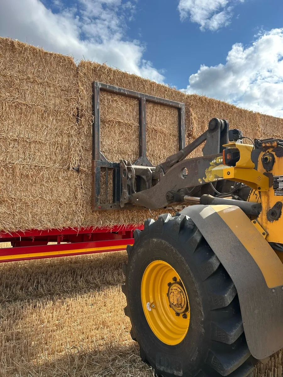 Straw - Image 1