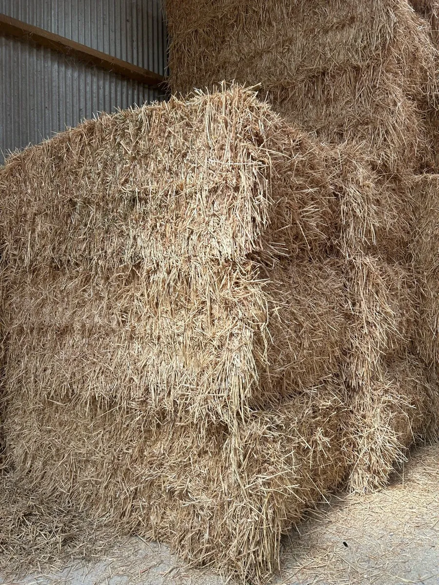 Straw - Image 2