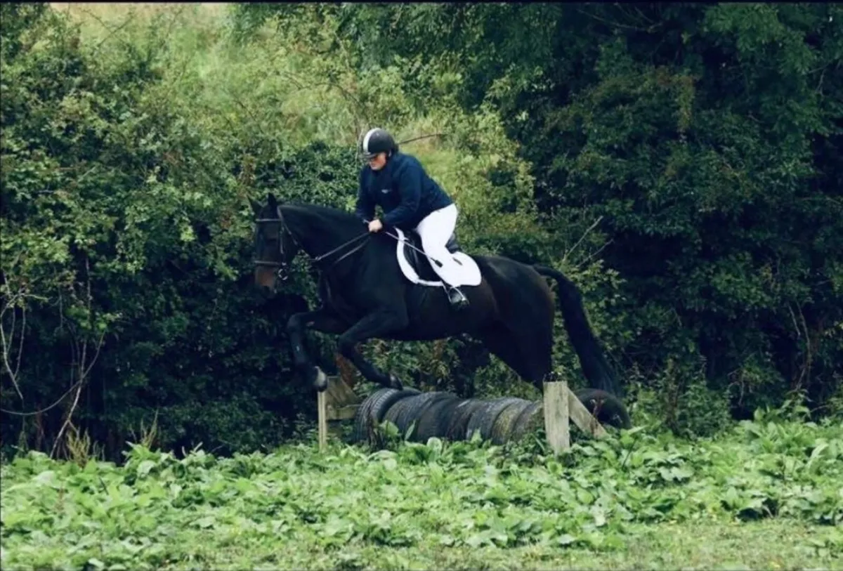 16.2 Mare - Image 4