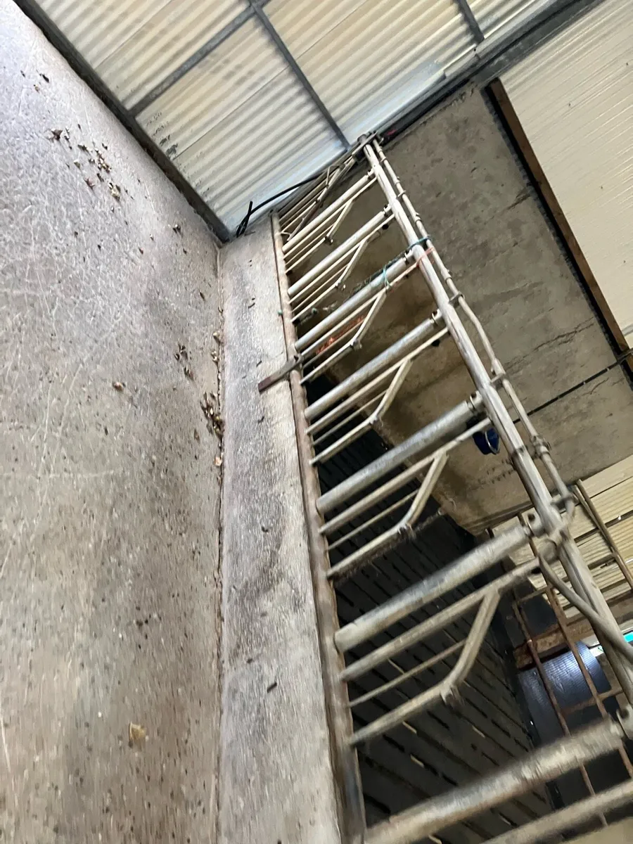 Feeding barriers - Image 2