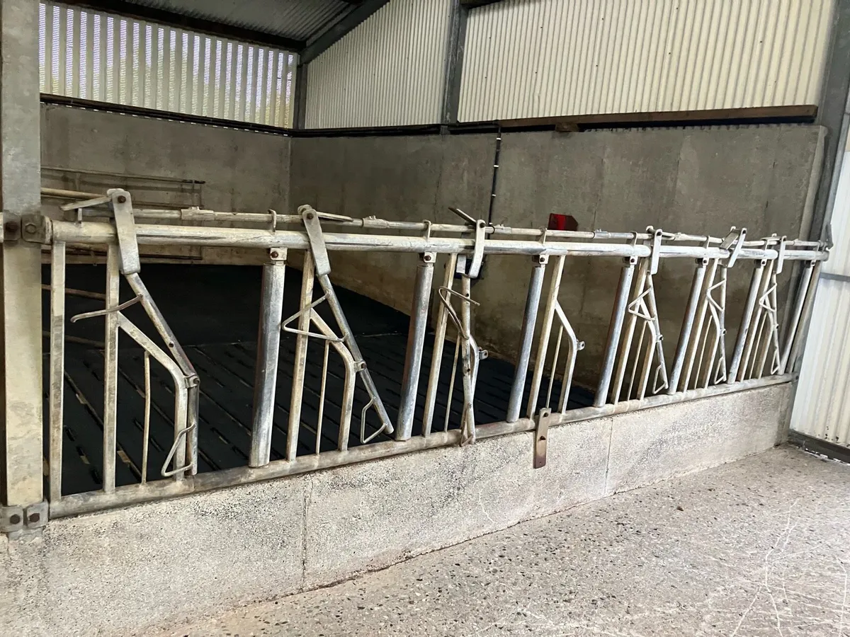 Feeding barriers - Image 3