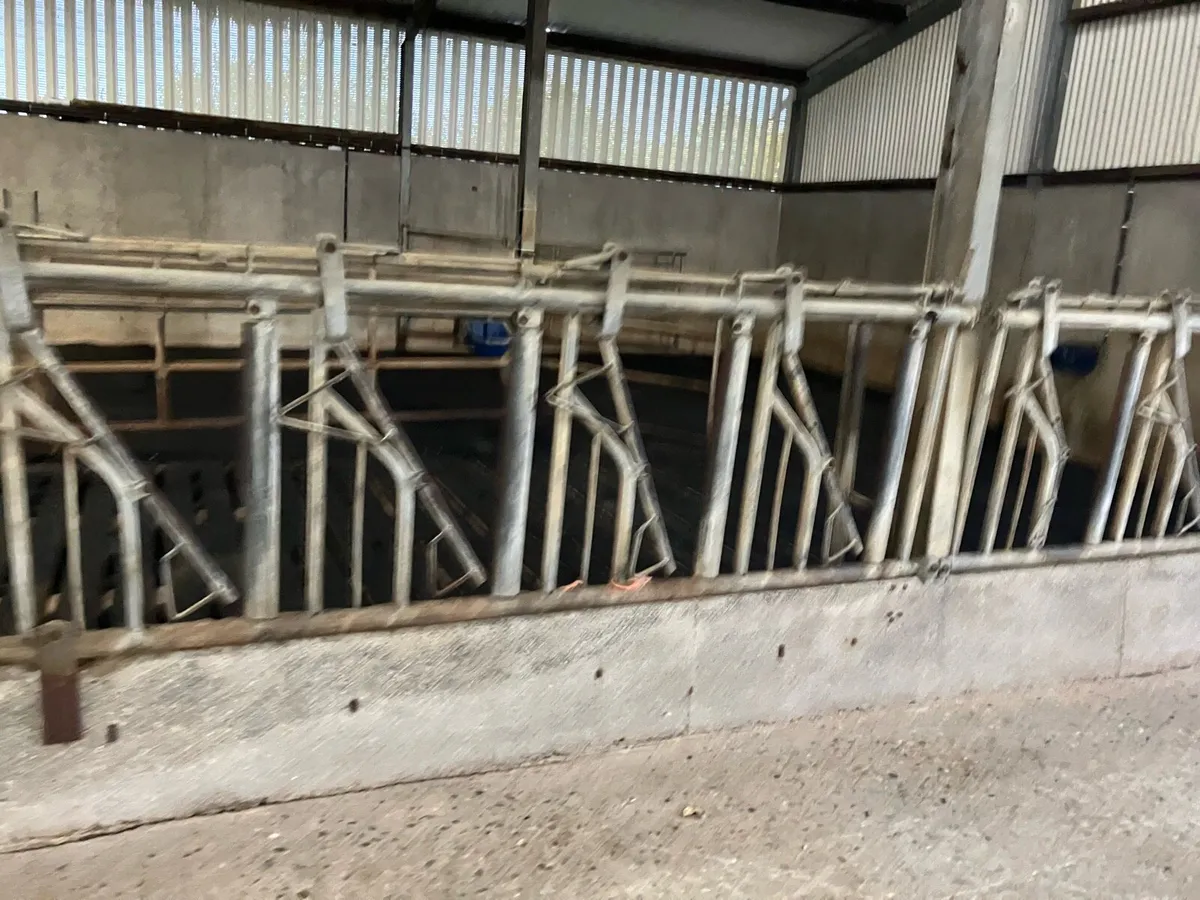 Feeding barriers - Image 4