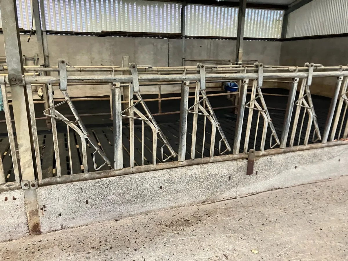 Feeding barriers - Image 1