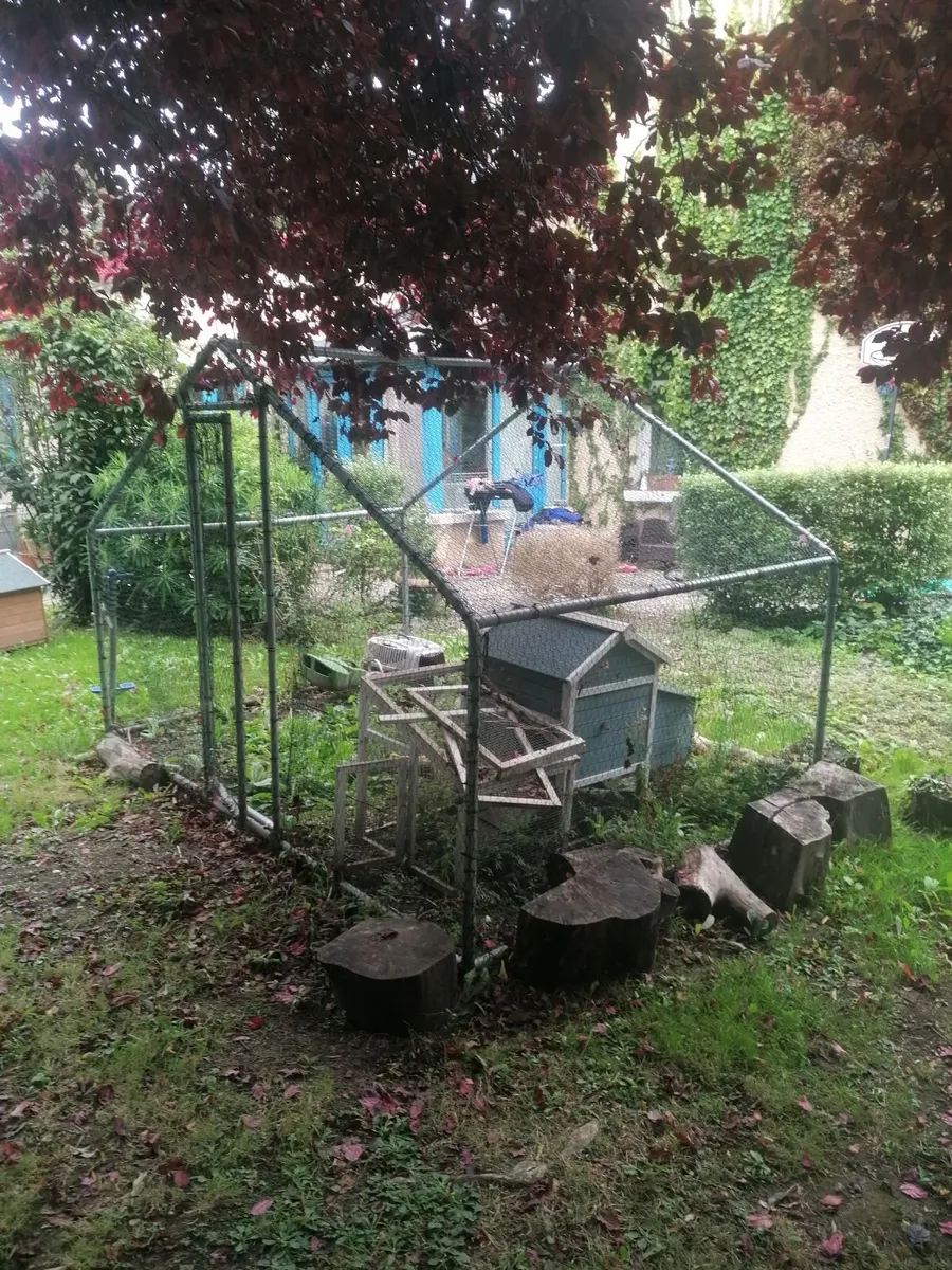 Hen cage - Image 1