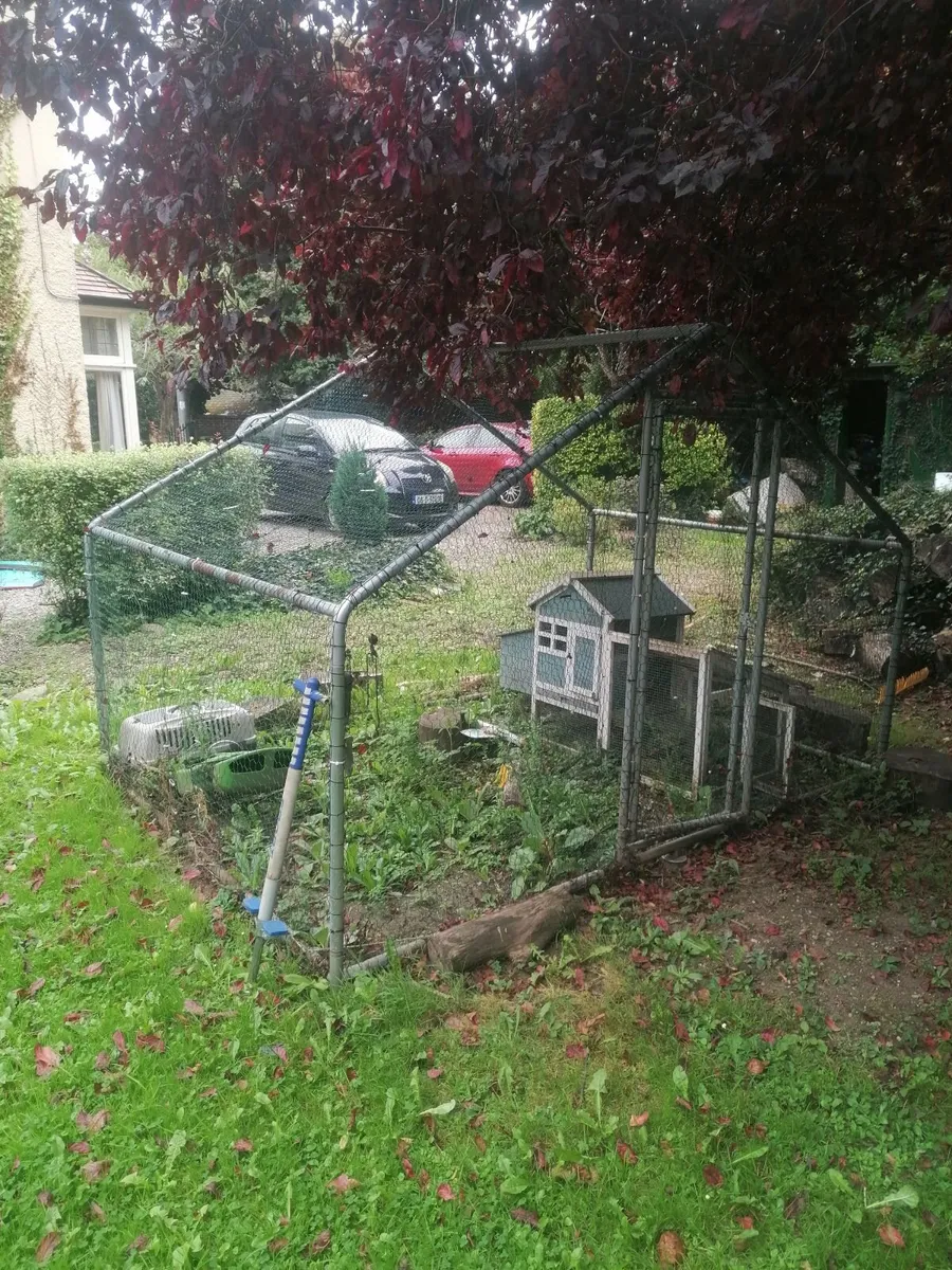 Hen cage - Image 2