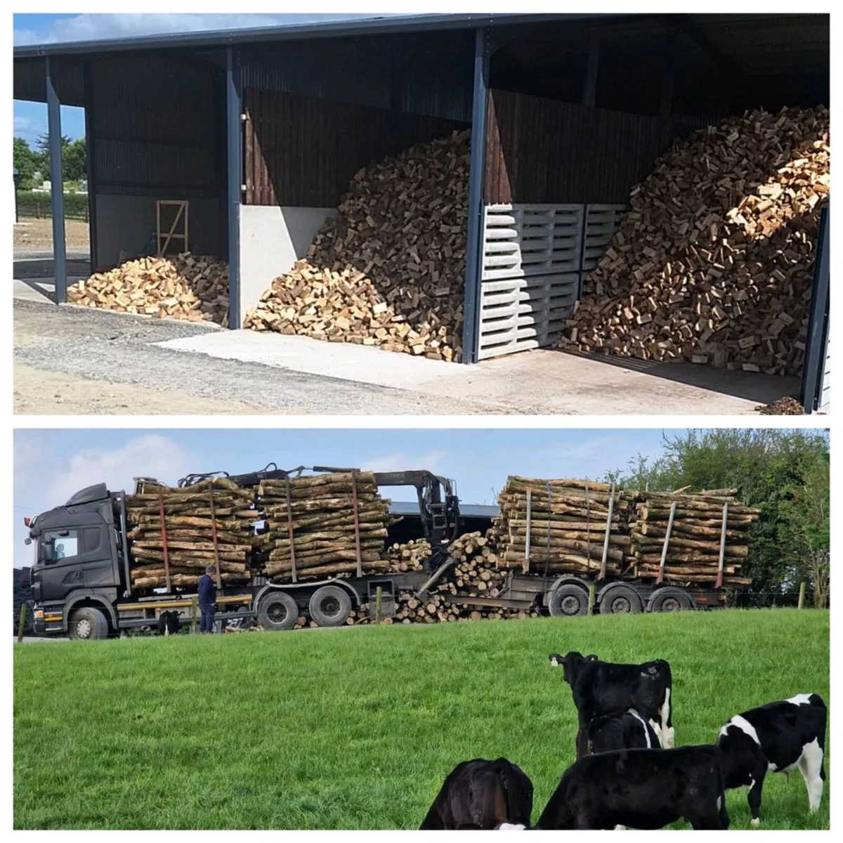 Firewood - Image 1