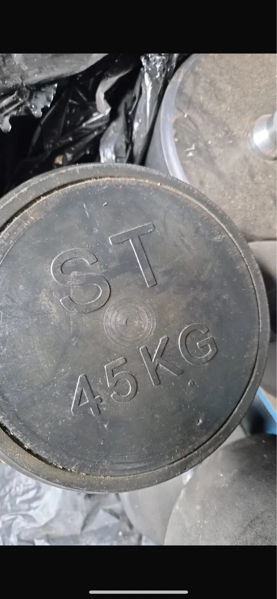 PAIR OF 45kg dumbbells