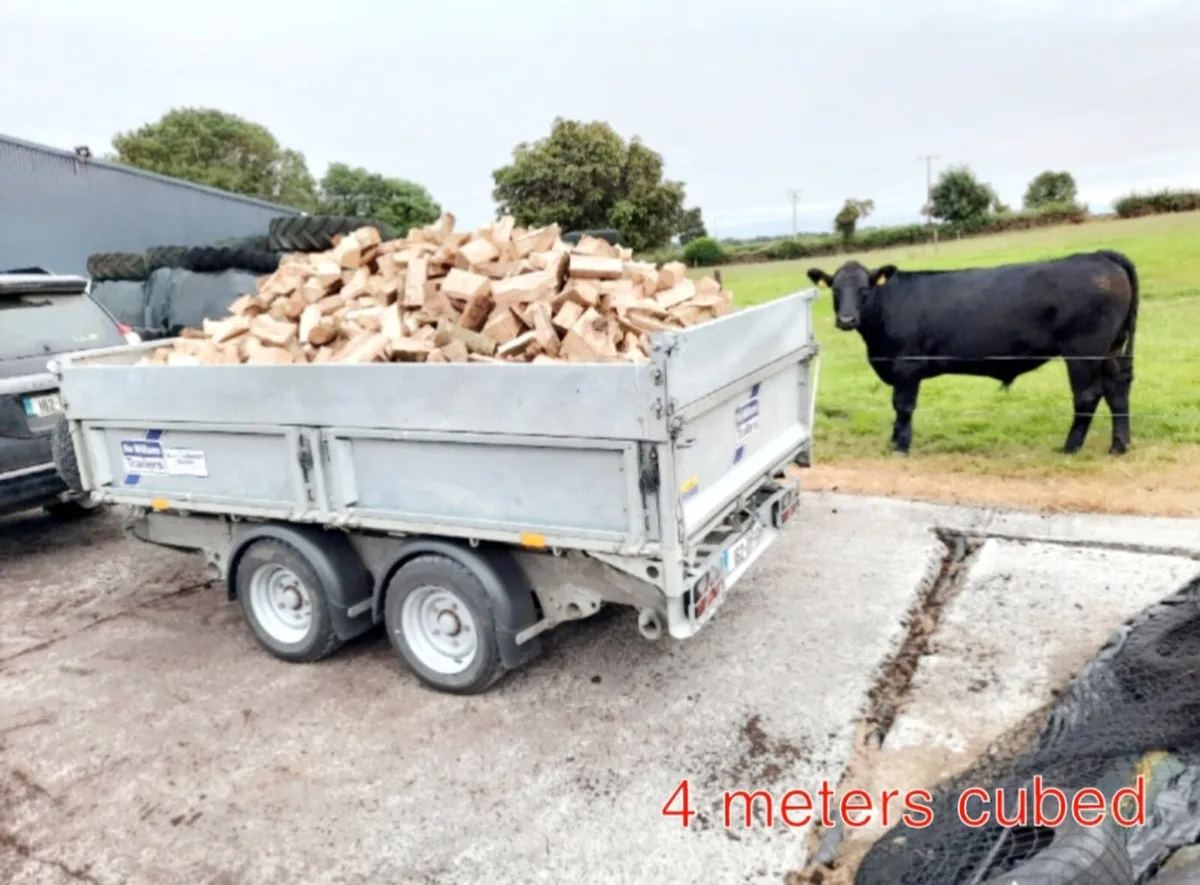 Firewood logs - Image 4