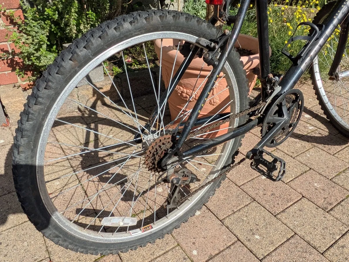 Adult Bicycle - Image 2