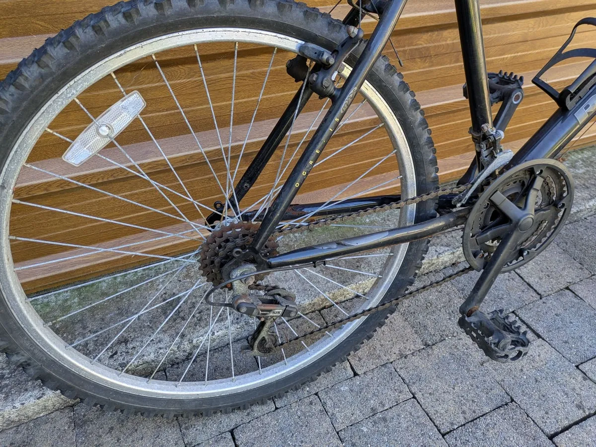 Adult Bicycle - Image 3