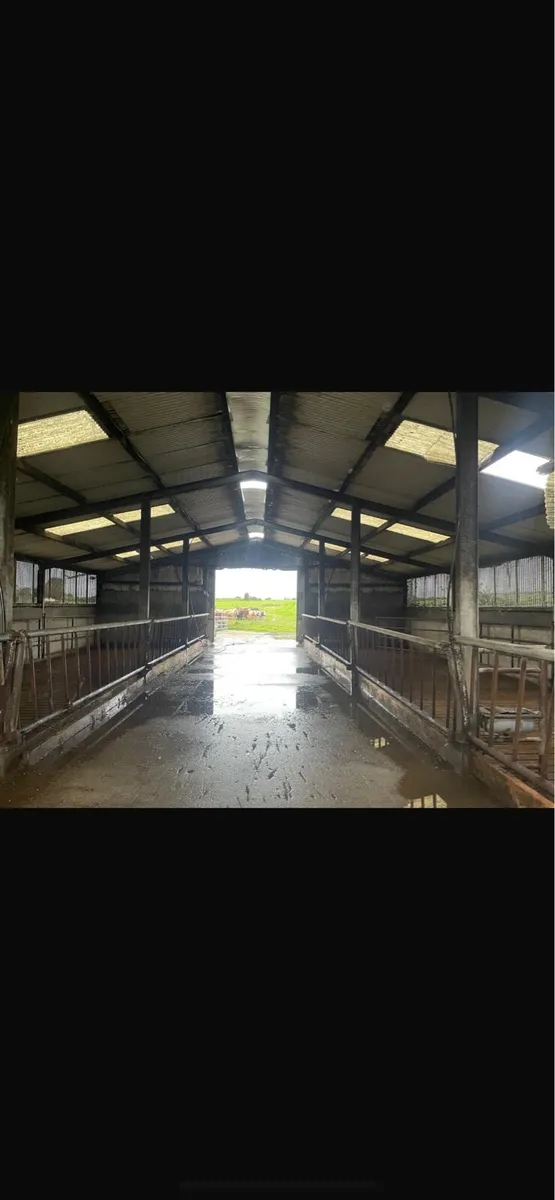 ##Slatted shed## #RENT## 4bay double