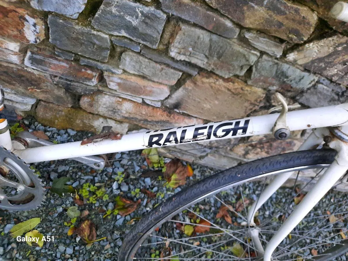 Raleigh flyer - Image 2