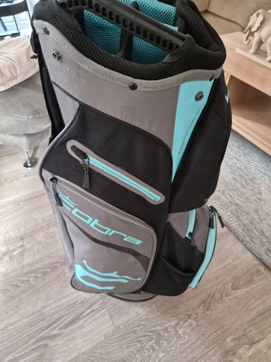 Cobra irons and cobra bag - Image 1