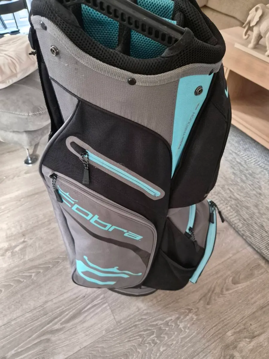 Cobra irons and cobra bag - Image 2
