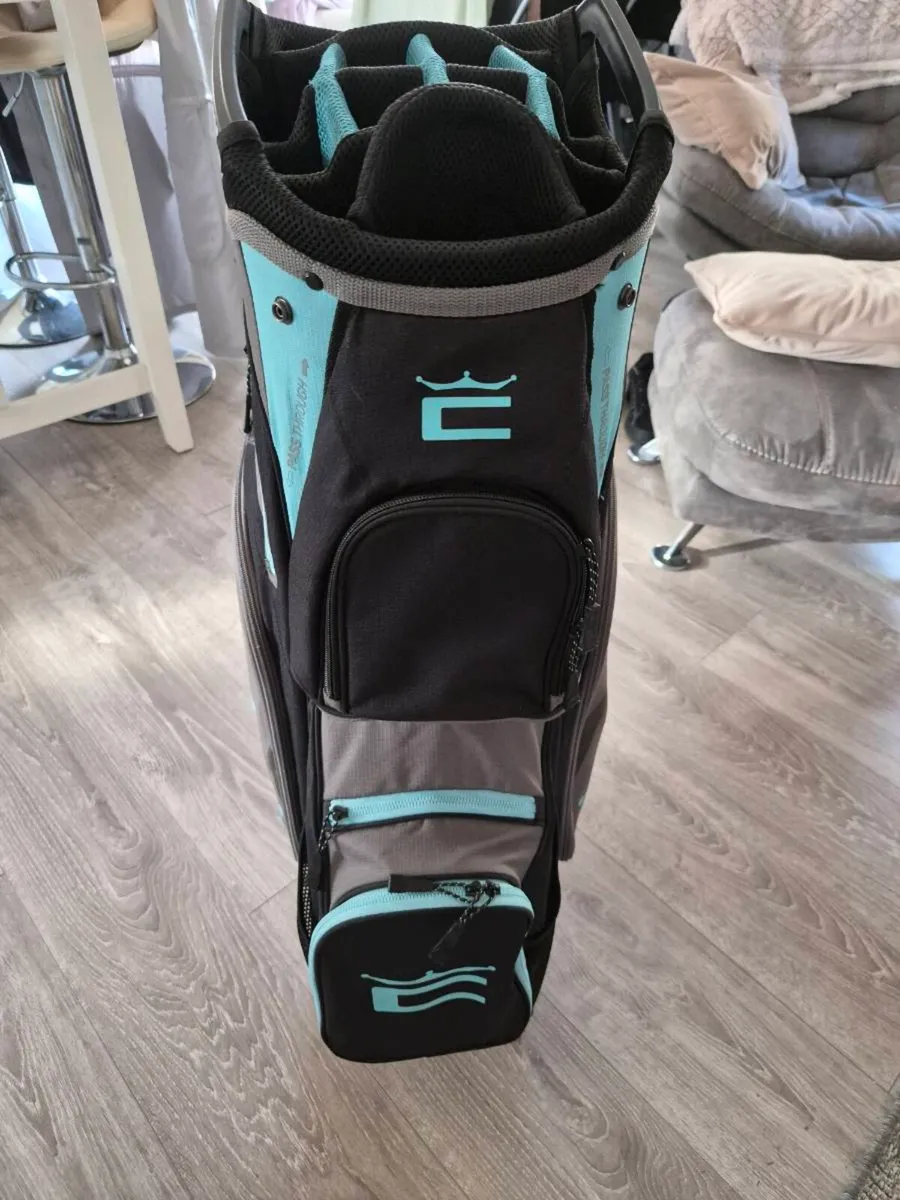 Cobra irons and cobra bag - Image 3