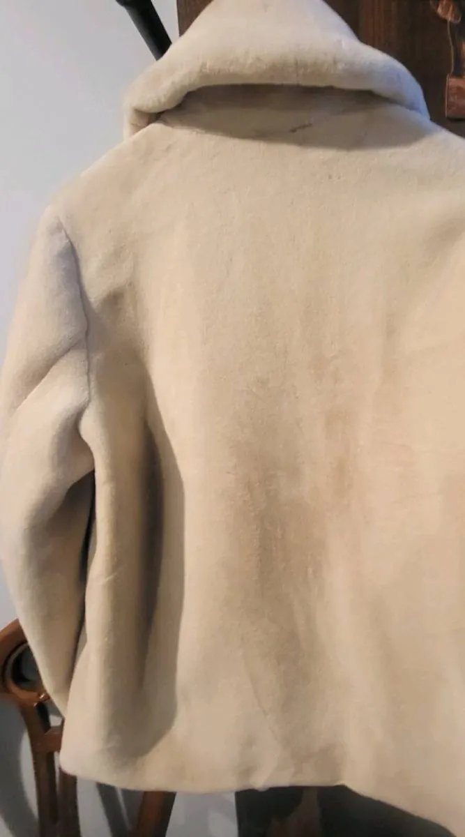Pennyblack Coat - Image 4