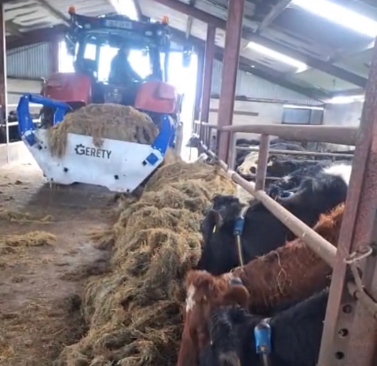 Balemaster bale feeder - Image 3