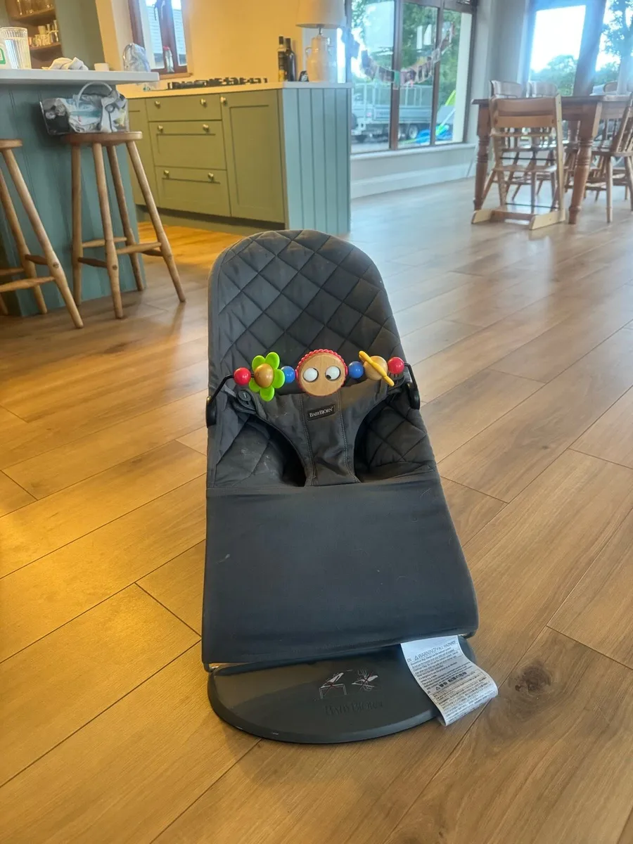 Baby bjorn bouncer