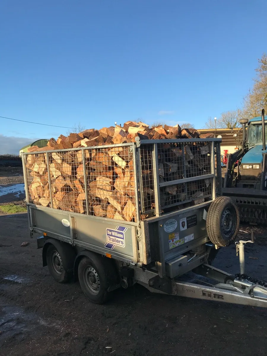 Hardwood firewood - Image 2