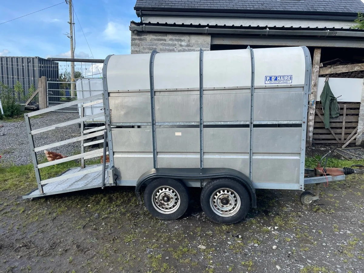 8ft x 4.6ft cattle trailer - Image 2