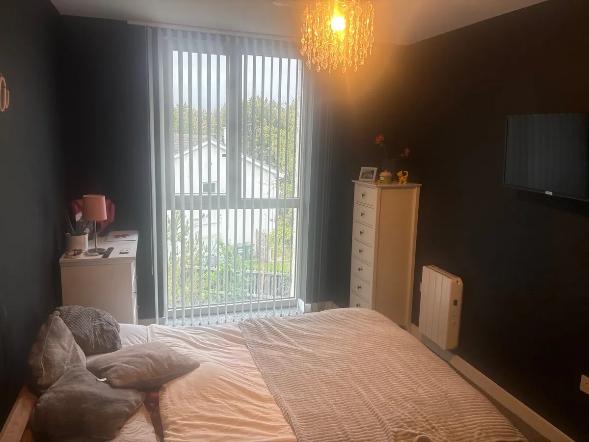 Room to let Bray - Image 2