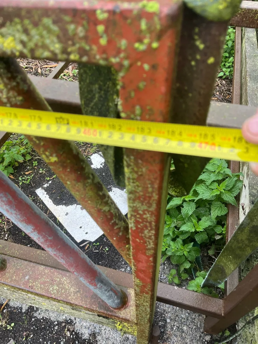 cattle feeding barrier - Image 2