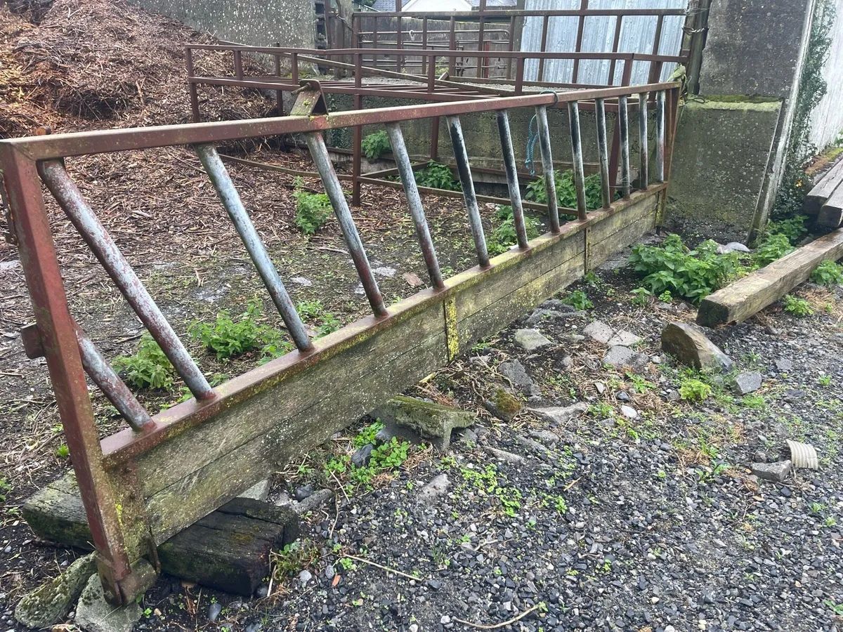 cattle feeding barrier - Image 4