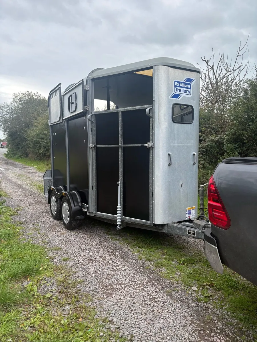 Iforwillams HB505 classic - Image 1