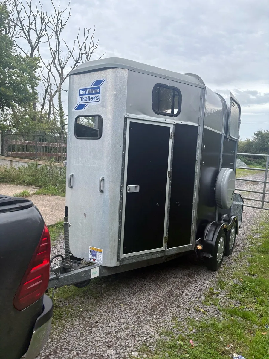 Iforwillams HB505 classic - Image 2