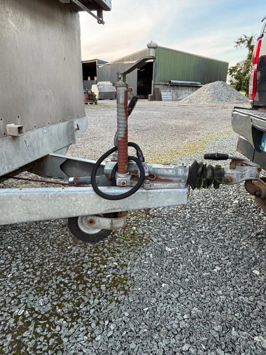 Cattle Trailer - Image 4