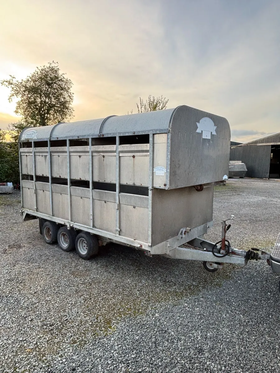 Cattle Trailer - Image 1