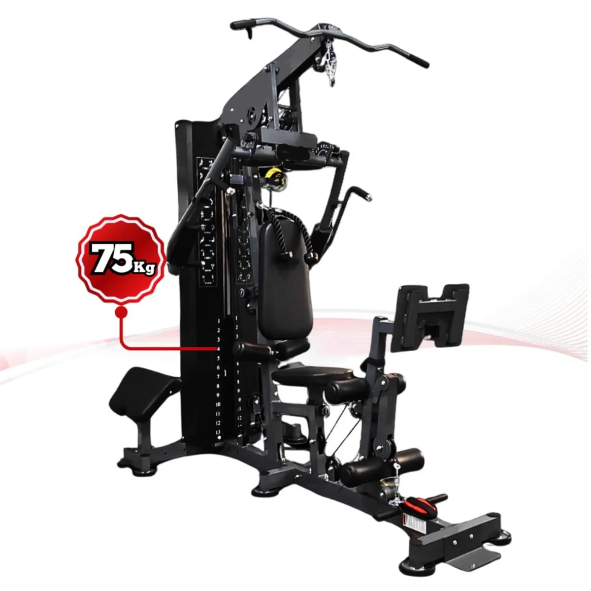Multi gym With Leg Press attachment - Image 1