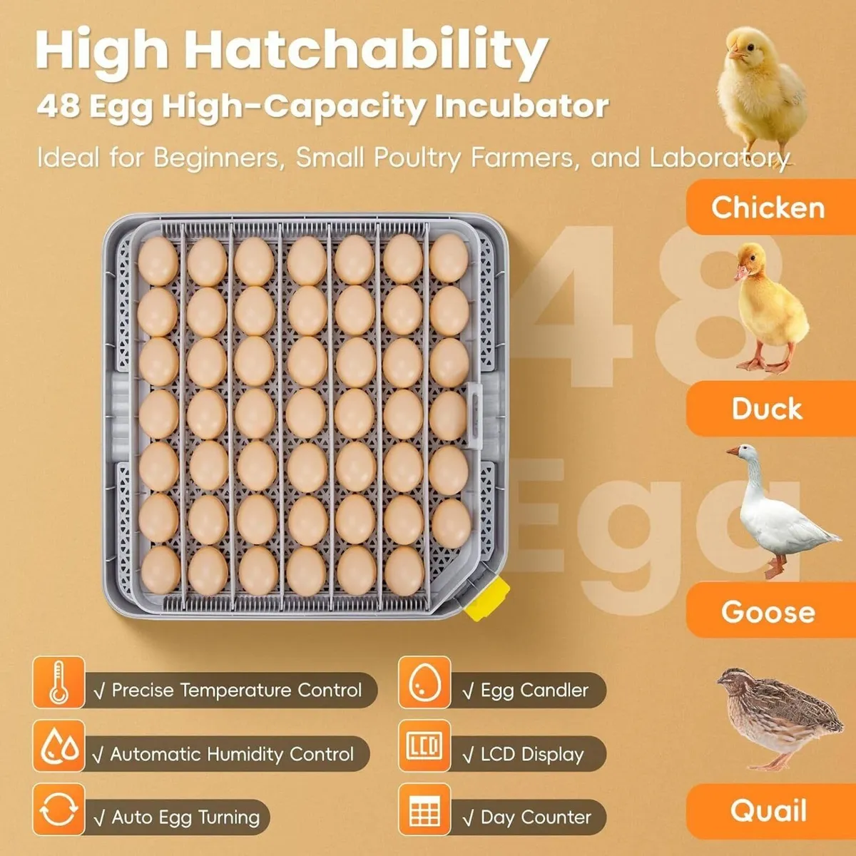 48-Egg Fully Automatic Incubator 12V/220V - Image 2